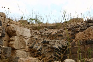 Belvoir - ise Kalesi 