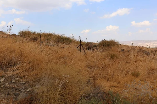 Çitin her zaman sınırı olduğunu 