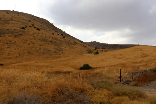 Çitin her zaman sınırı olduğunu 