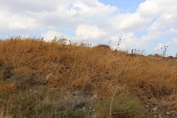 Çitin her zaman sınırı olduğunu 