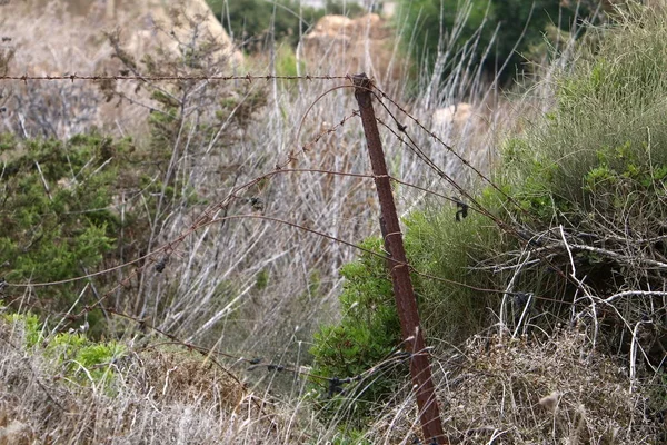 Çitin her zaman sınırı olduğunu 