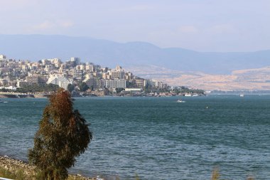 Celile Denizi kıyısında. 