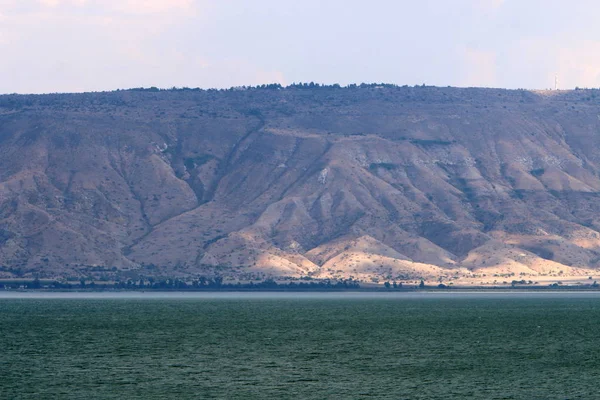 Orilla del Mar de Galilea — Foto de Stock