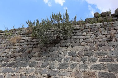Eski taş duvar 