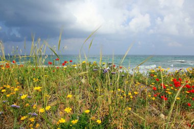 Akdeniz kıyılarında 