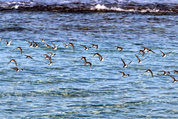 Côte de la mer Méditerranée — Photo