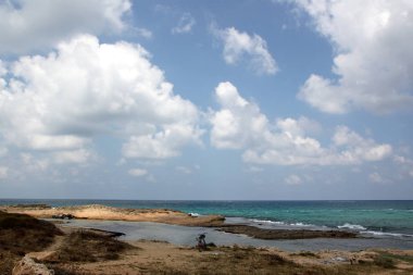 Bisiklet - tekerlekli araç 