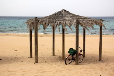 Bisiklet - tekerlekli araç 