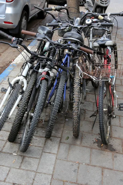 Bicycle - wheeled vehicle — Stock Photo, Image