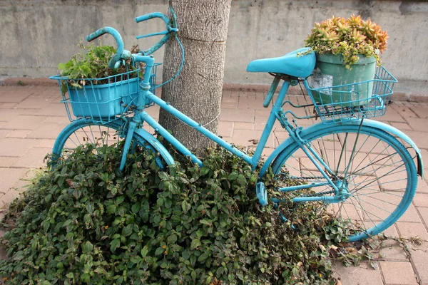 Bicyclette - véhicule à roues — Photo