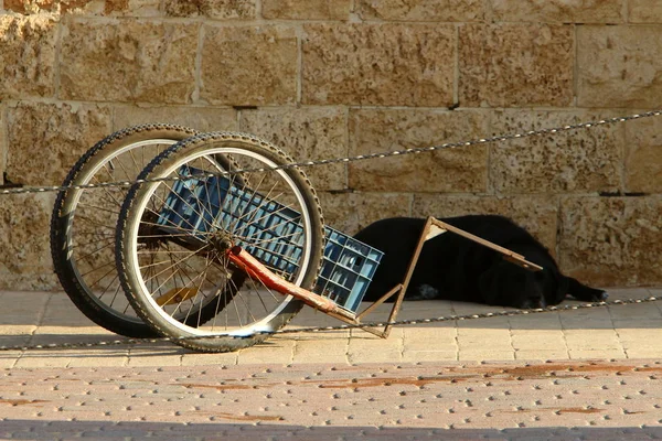 Cykel - hjulförsedda fordon — Stockfoto
