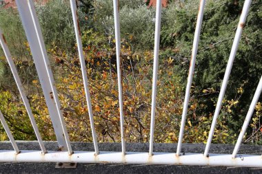 Çitin her zaman sınırı olduğunu 