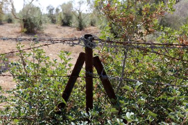 Çitin her zaman sınırı olduğunu 