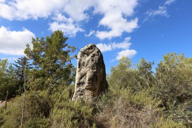 doğanın yakın çekim resimler 