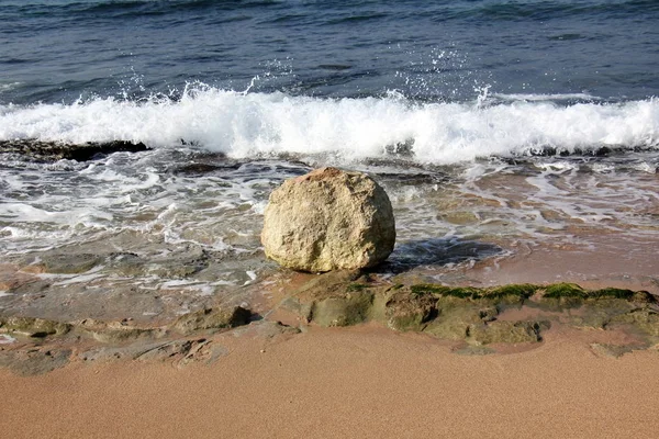 Pedras na praia — Fotografia de Stock