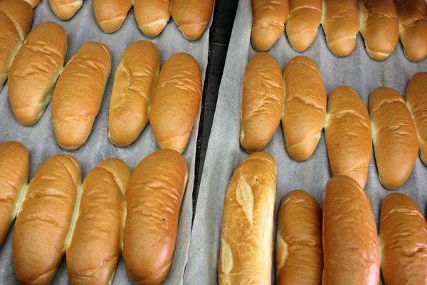 Friss, meleg kenyér — Stock Fotó