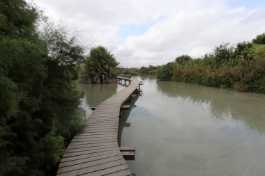 Köprü nehrin üzerinde 