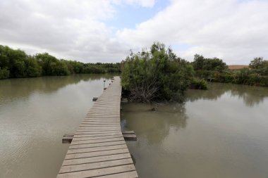 Köprü nehrin üzerinde 