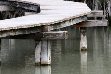 Köprü nehrin üzerinde 