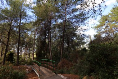 Köprü nehrin üzerinde 