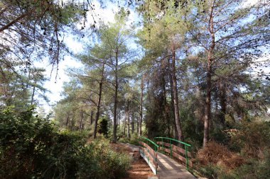 Köprü nehrin üzerinde 