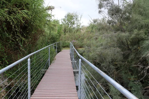 Köprü nehrin üzerinde 