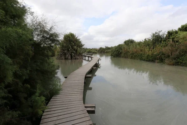 Köprü nehrin üzerinde 