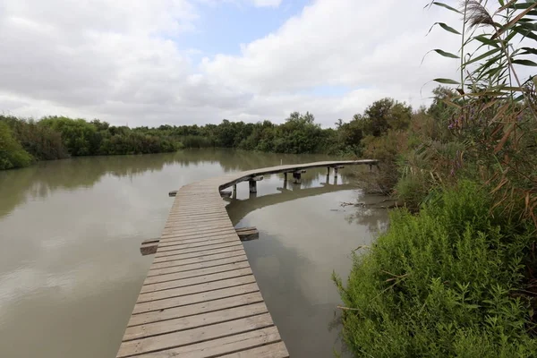 Köprü nehrin üzerinde 