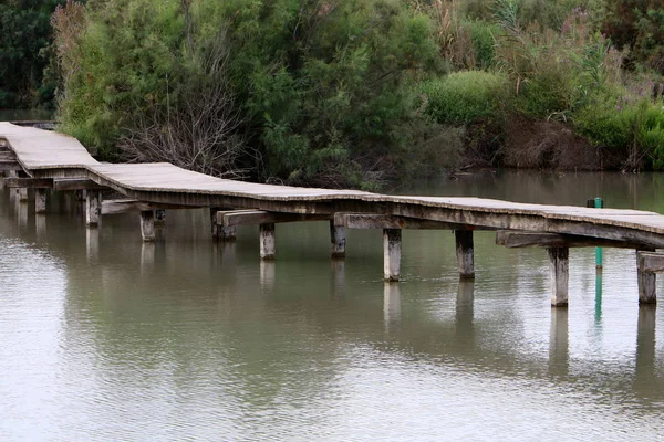 Köprü nehrin üzerinde 