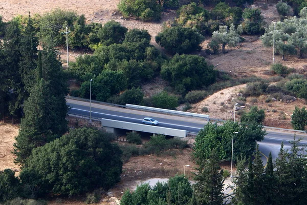 Köprü nehrin üzerinde 