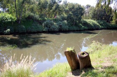 Eski bir güdük olduğunu 