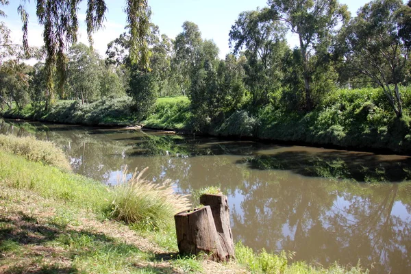 Eski bir güdük olduğunu 