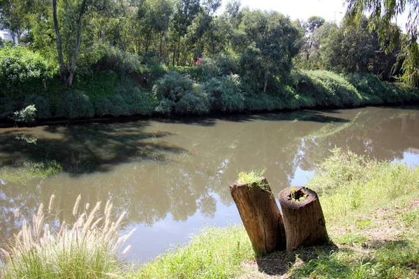 Eski bir güdük olduğunu 