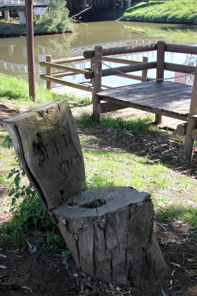 There is an old stump — Stock Photo, Image