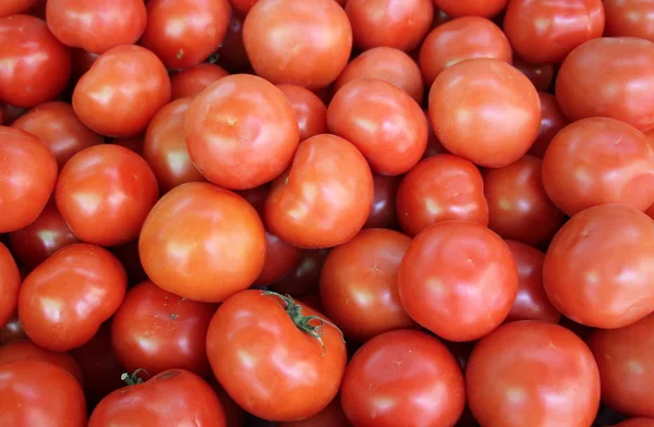 Tomates sur la table — Photo