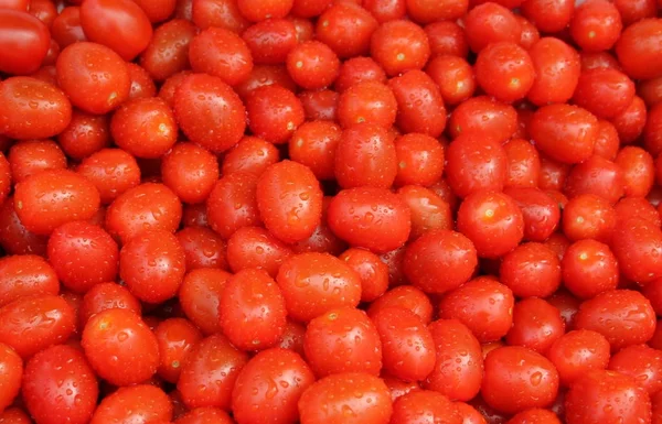 Tomates sur la table — Photo