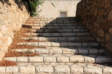 merdiven yukarı çıkma 