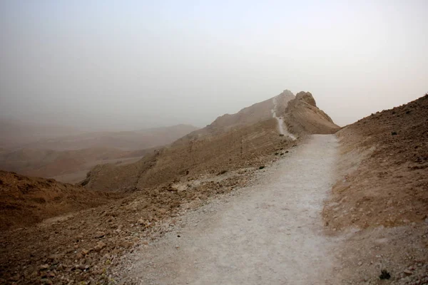 Fog in the desert — Stock Photo, Image