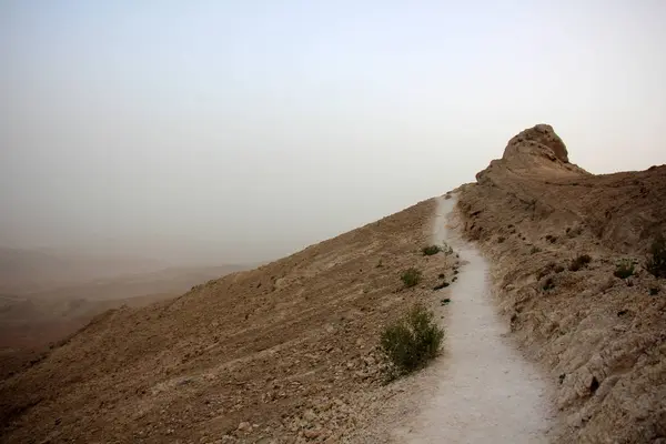 Fog in the desert — Stock Photo, Image