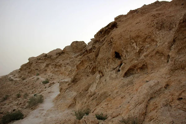 사막에 안개 — 스톡 사진