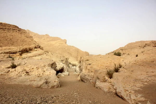 Niebla en el desierto —  Fotos de Stock