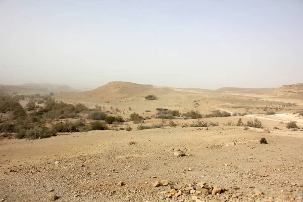 Mist in de woestijn — Stockfoto