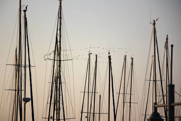 Masten på ett segelfartyg — Stockfoto