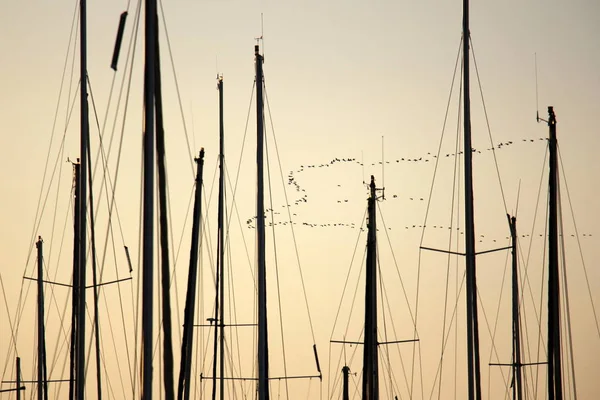 Masten på ett segelfartyg — Stockfoto