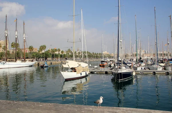 Mástil en un velero — Foto de Stock