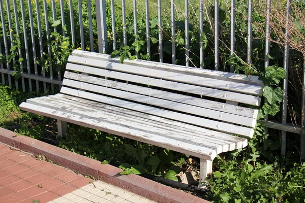 Banc dans le parc — Photo