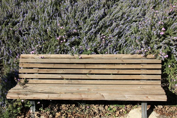 Bench in the park — Stock Photo, Image