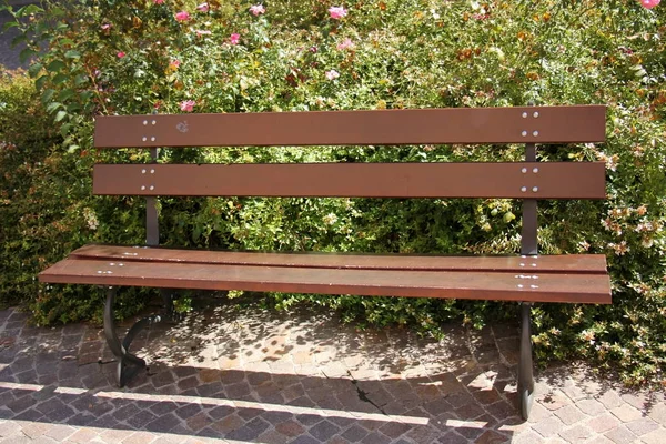 Banc dans le parc — Photo