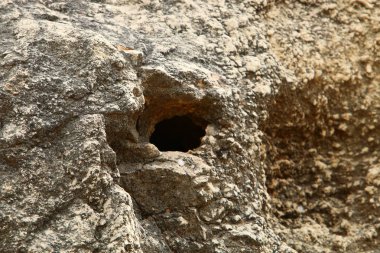 taş ve kayaların doku 