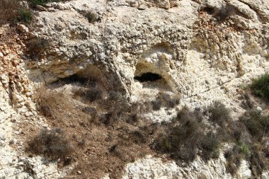 taş ve kayaların doku 